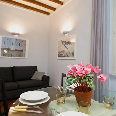 Cimarra Colosseum Comfort * Roma